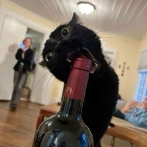 Meet your Posher, Raya